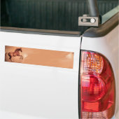 RED HORSE BUMPERSTICKER (Op Truck)