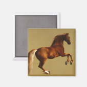 RED HORSE MAGNEET (Voorkant / Achterkant)