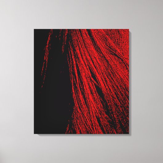 Red Horse Mane Abstracte Stretched Canvas Print (Voorkant)