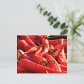 Red hot Chili Briefkaart (Staand voorkant)