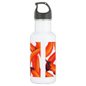 Red Hot Chili Peppers Waterfles (Achterkant)