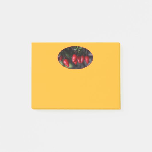 Red Hot Garden Salsa Chili Peppers. Post-it® Notes (Voorkant)