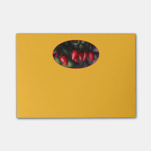 Red Hot Garden Salsa Chili Peppers. Post-it® Notes