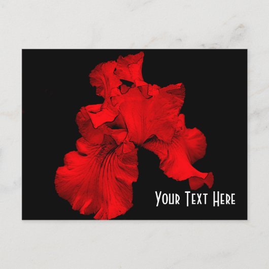 Red Hot Iris Floral  Briefkaart (Voorkant)