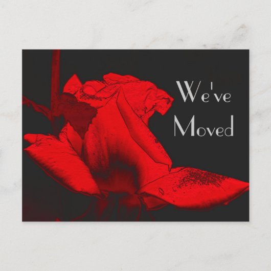 Red Hot Rosebud Nouvelle adresse Floral Art Carte (Devant)