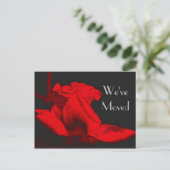 Red Hot Rosebud Nouvelle adresse Floral Art Carte (Debout devant)