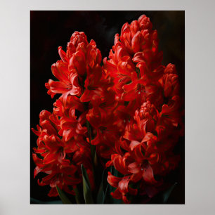 Red Hyacinth Flowers Art Imprimer Poster