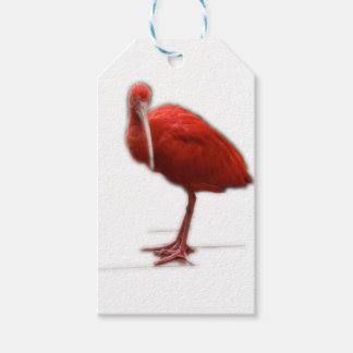 Red Ibis geef dit aan de vogelliefhebber in je lev Cadeaulabel