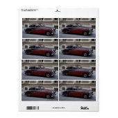 Red Jaguar Mark IX Etiket (Full Sheet)