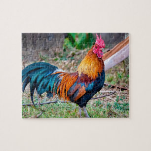 Red junglefowl legpuzzel