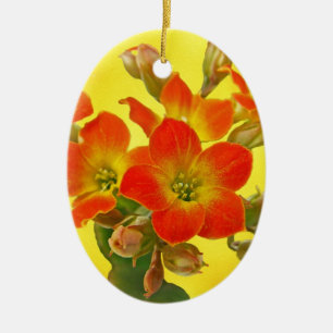 Red Kalanchoe - Succulent Sunshine Keramisch Ornament