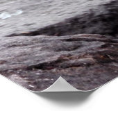 Red Kangaroo Poster (Hoek)