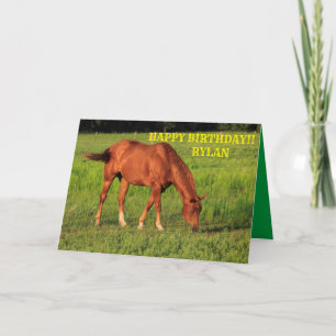 Red Kansas Country Horse Verjaardag Wenskaart Kaart