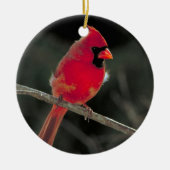 Red Kardinaal kerstversiering Keramisch Ornament (Voorkant)