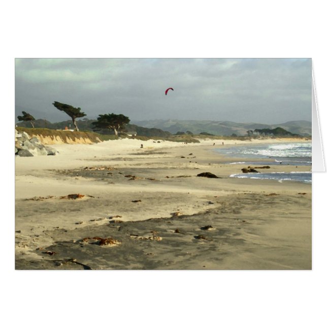 Red Kite (Voorkant Horizontaal)