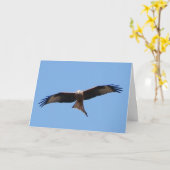 Red Kite Card Kaart (Gele Bloem)