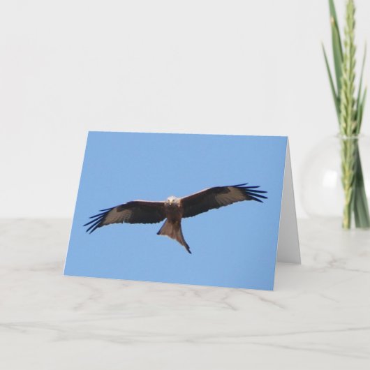 Red Kite Card Kaart (Voorkant)