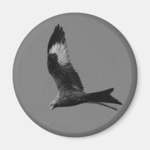 Red Kite Magneet