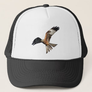 Red Kite - Milvus milvus Trucker Pet