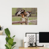 Red Kite Poster (Thuiskantoor)