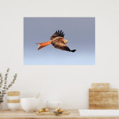 Red Kite Print (Keuken)