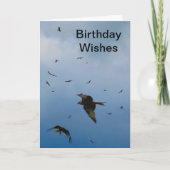 Red Kites - buzzards - carte d'anniversaire (Devant)