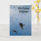 Red Kites - buzzards - carte d'anniversaire (Fleur jaune)