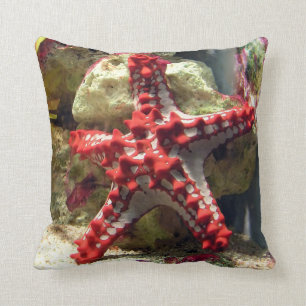 Red Knobbed Starfish - Ongelooflijk heet Kussen