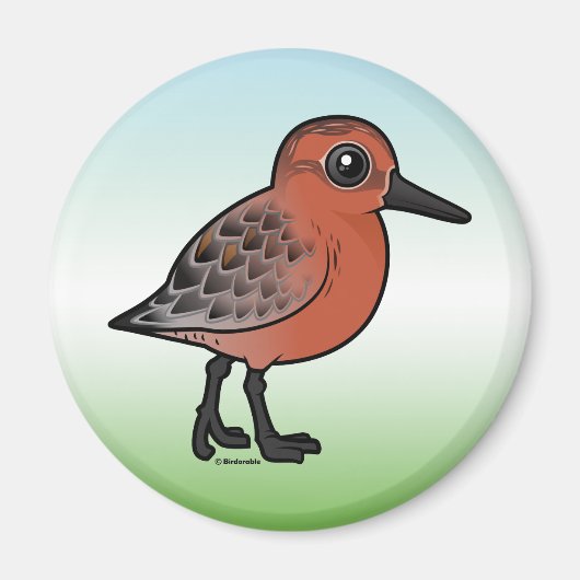 Red Knot Magneet (Voorkant)