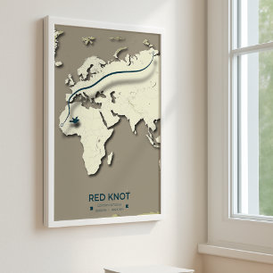 Red Knot Migration Map - Minimalistische Vogel Poster