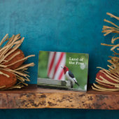 Red-kopige Woodpecker Fotoplaat (Zijkant)