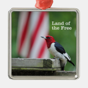 Red-kopige Woodpecker Metalen Ornament