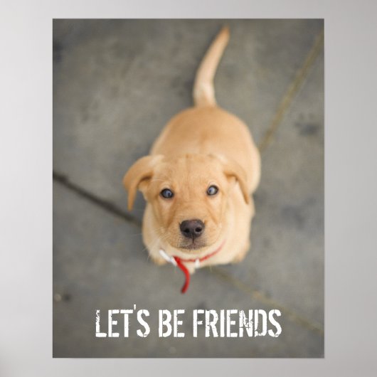 Red Labrador Puppy Poster (Voorkant)