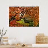 Red Laced Maple Tree in Japanse tuin Poster (Keuken)