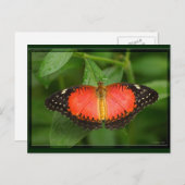 Red Lacewing Briefkaart (Voorkant / Achterkant)
