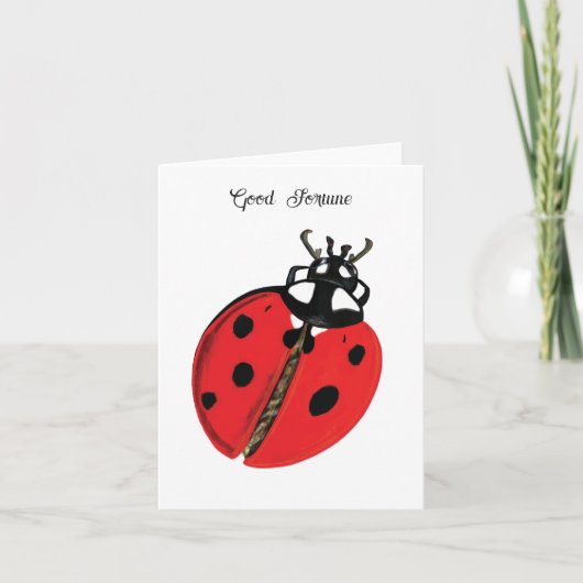 Red Lady Bug Good Luck Ambassador Illustration (Devant)