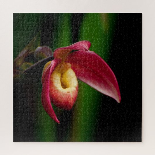 Red Lady Slippers Orchid Legpuzzel (Verticaal)
