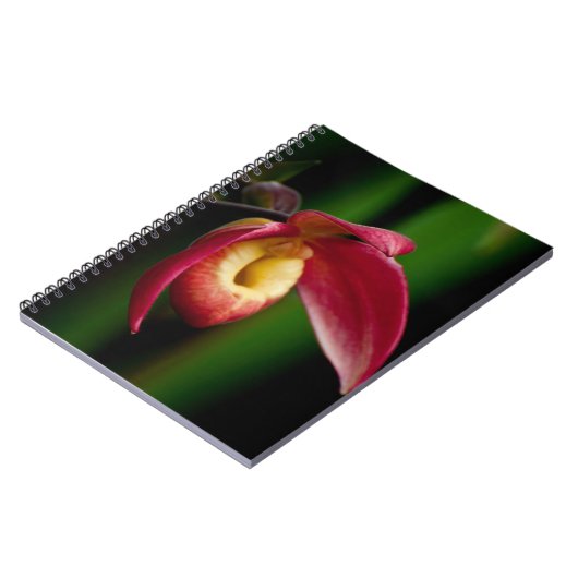 Red Lady Slippers Orchid Notitieboek (Linkerzijde)