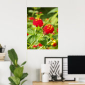 RED LANTANA Poster (Thuiskantoor)