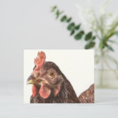 Red Laying Hen Chicken Foto Briefkaart (Staand voorkant)