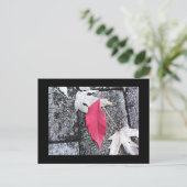 Red Leaf Post Card Briefkaart (Staand voorkant)