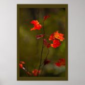 Red Leaves and Branches Poster (Devant)