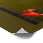 Red Leaves and Branches Poster (Hoek)