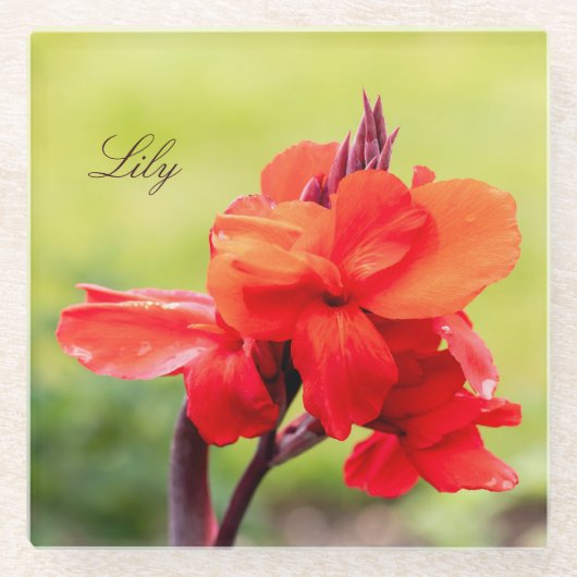 Red Lily Aangepaste naam Glazen Onderzetter (Voorkant)