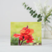 Red Lily Briefkaart (Staand voorkant)