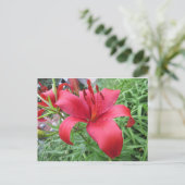 Red Lily Briefkaart (Staand voorkant)