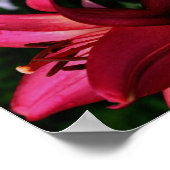 Red Lily Flower Abstract Art Poster (Hoek)