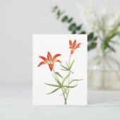 Red Lily Flowers -  botanische kunstkaart (Staand voorkant)