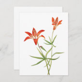 Red Lily Flowers -  botanische kunstkaart (Voorkant / Achterkant)