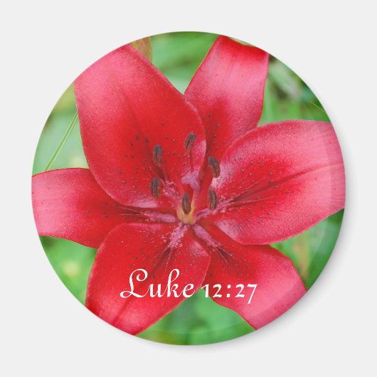 Red Lily Magnet Luke 12:27 (Devant)